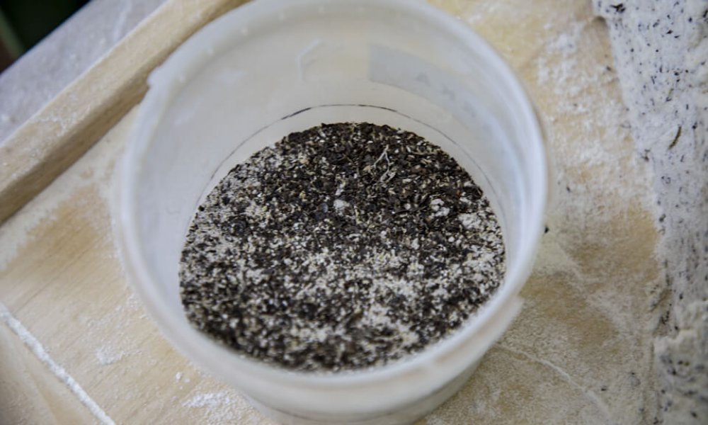 Na návšteve v Hany Ulič