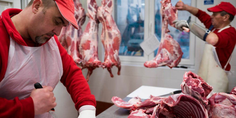 O mäsovýrobe BEZ éčok