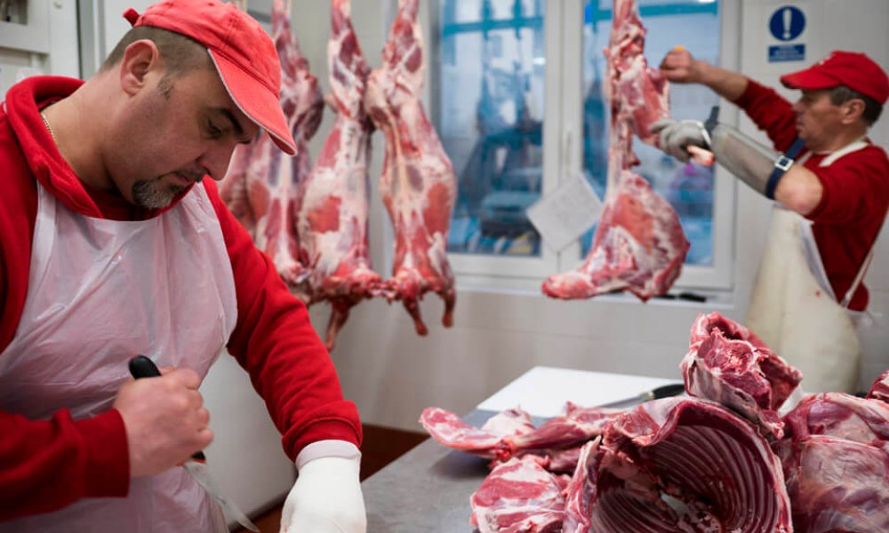 O mäsovýrobe BEZ éčok