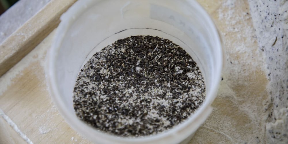 Na návšteve v Hany Ulič