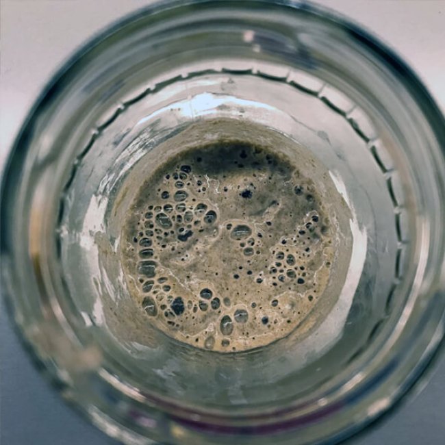 Kváskovanie – má pre nás význam?