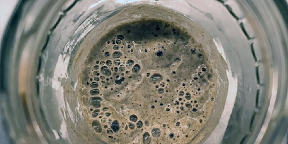 Kváskovanie – má pre nás význam?