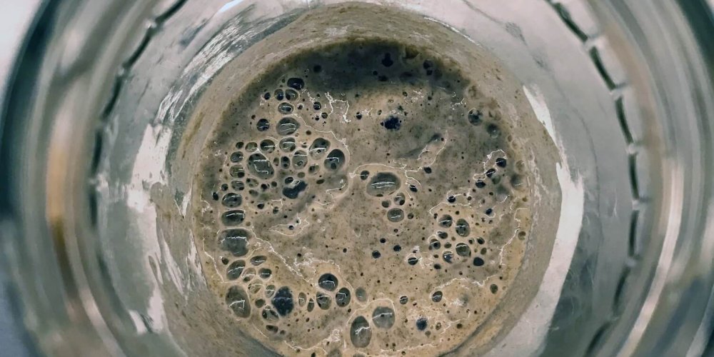 Ako na domáci kvások?