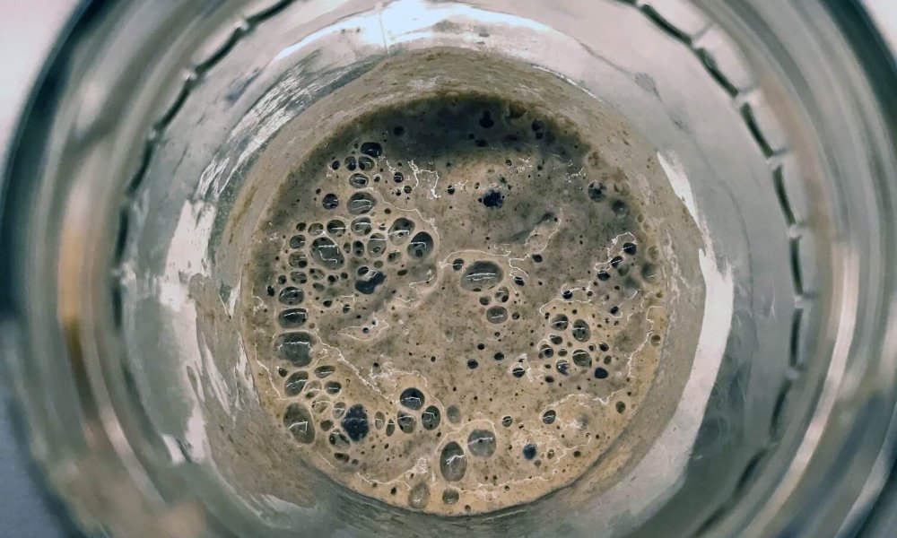 Ako na domáci kvások?