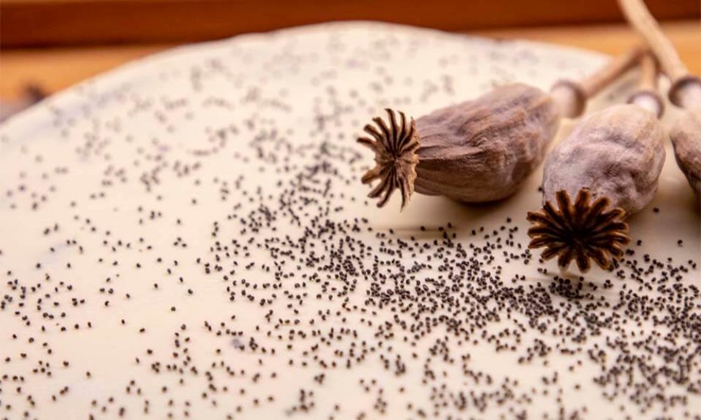 Bezlepková maková torta