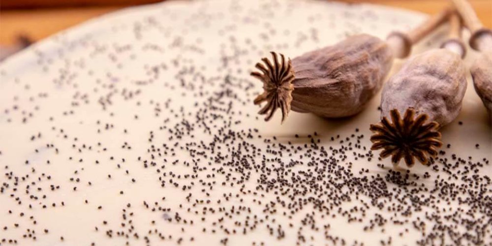 Bezlepková maková torta