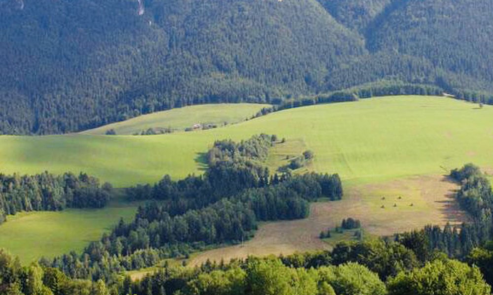 O mliečnych výrobkoch z ovčej farmy v Turci