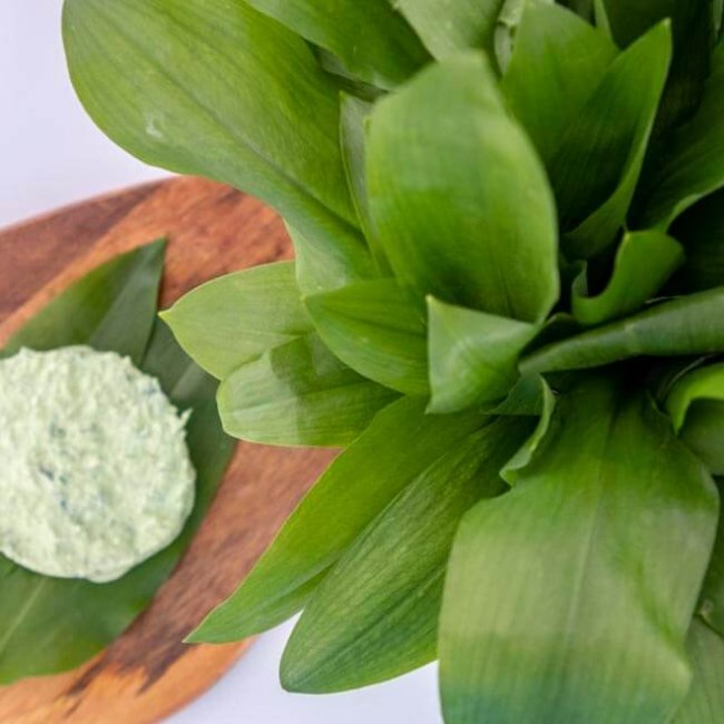 Nátierka z medvedieho cesnaku