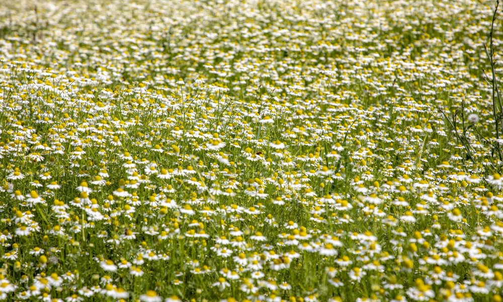 Na návšteve v Kofole v Rajeckej doline