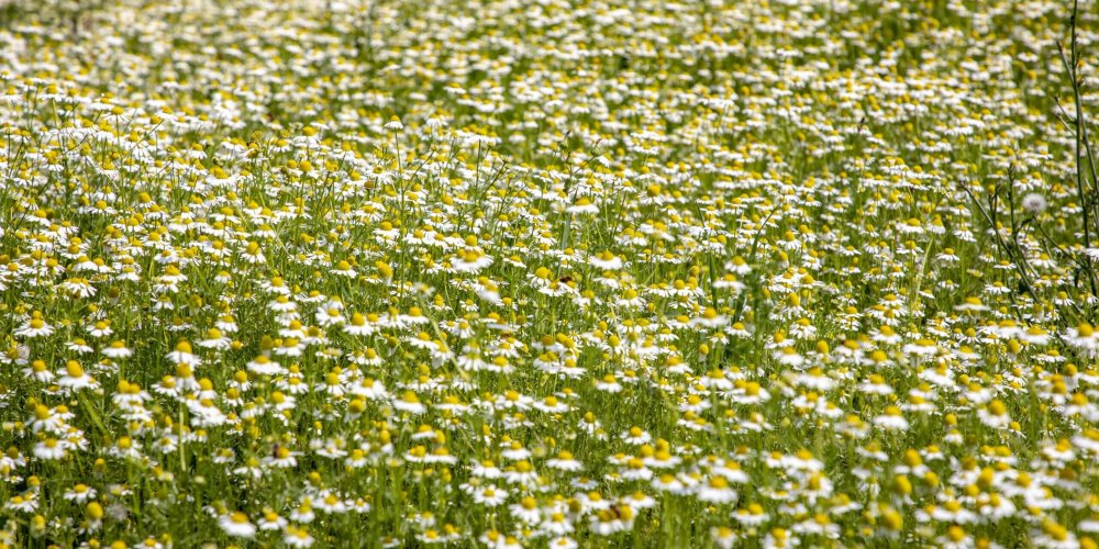 Na návšteve v Kofole v Rajeckej doline