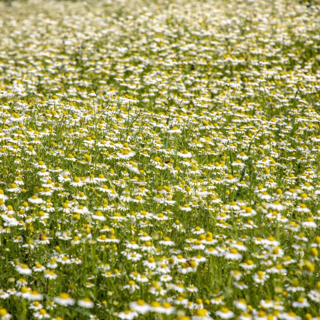 Na návšteve v Kofole v Rajeckej doline