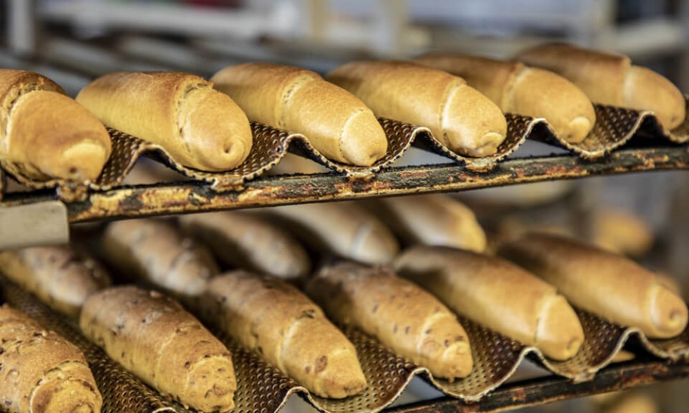 Na návšteve U Ňaňa