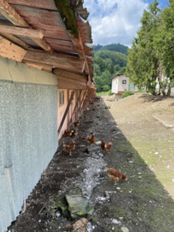 Farma v Sedliackej Dubovej