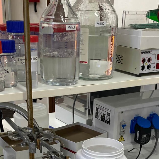 GMO – Kde je pravda?