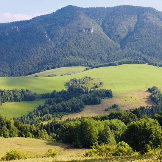 O mliečnych výrobkoch z ovčej farmy v Turci