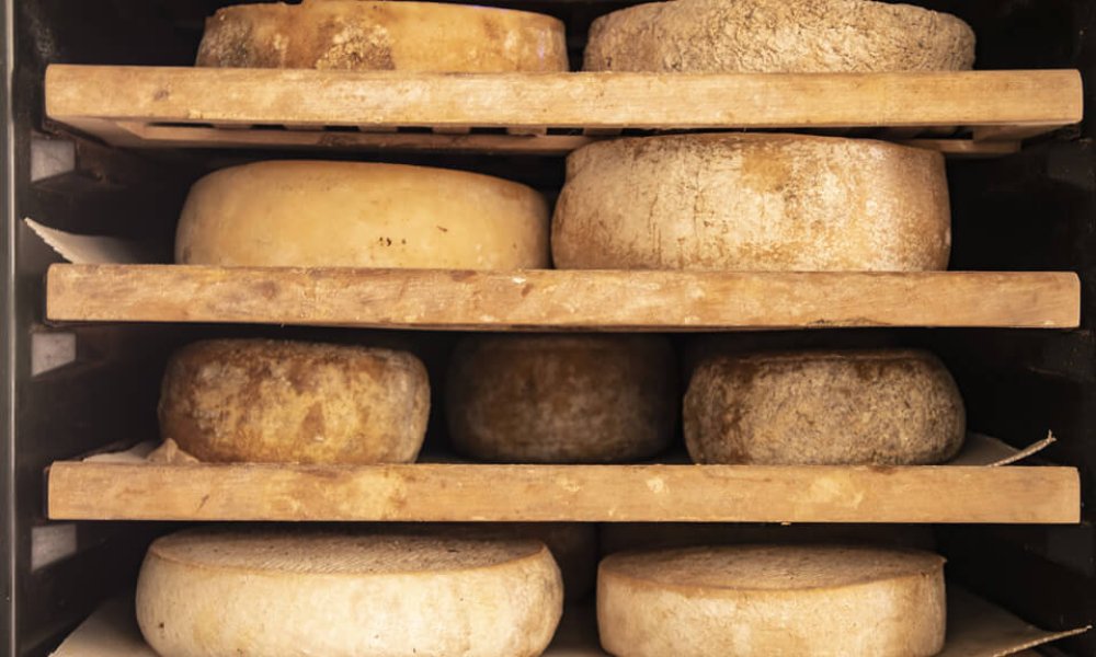 Kozia farma Michalov dvor