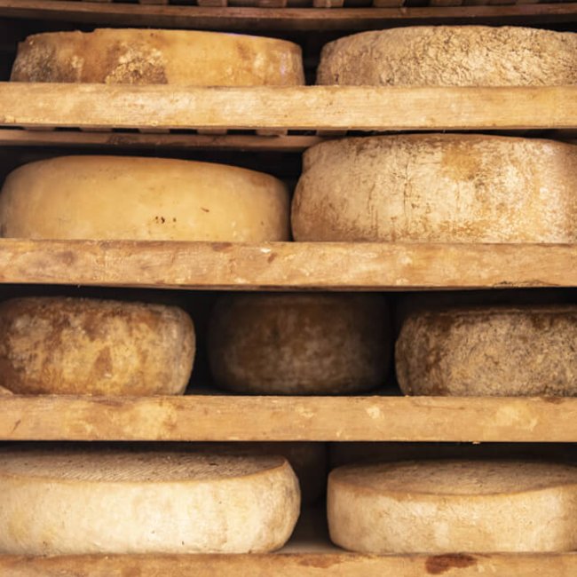 Kozia farma Michalov dvor