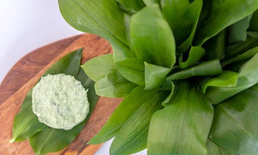 Nátierka z medvedieho cesnaku