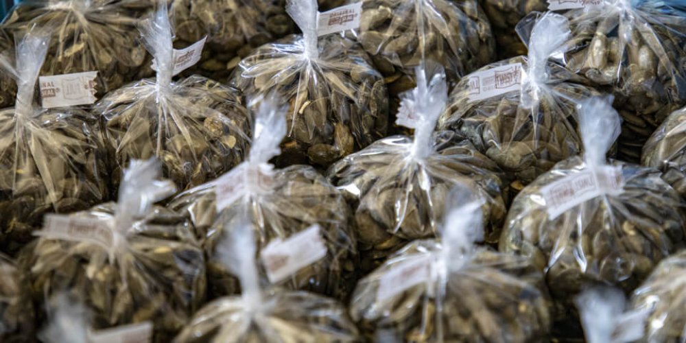 Na návšteve v Tekvičke