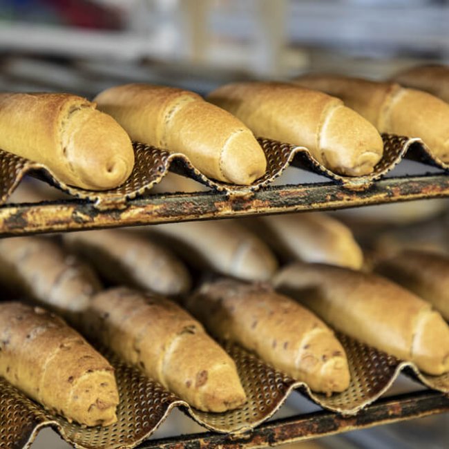 Na návšteve U Ňaňa