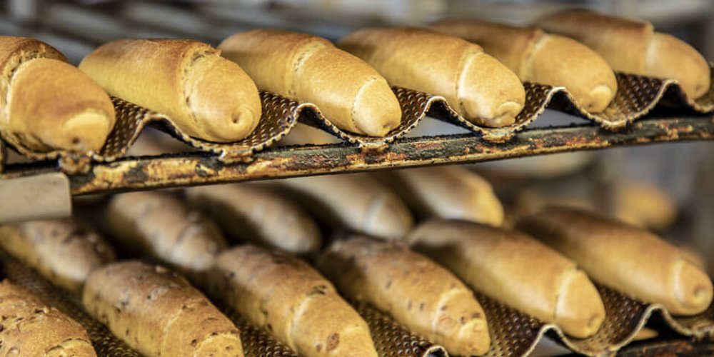 Na návšteve U Ňaňa