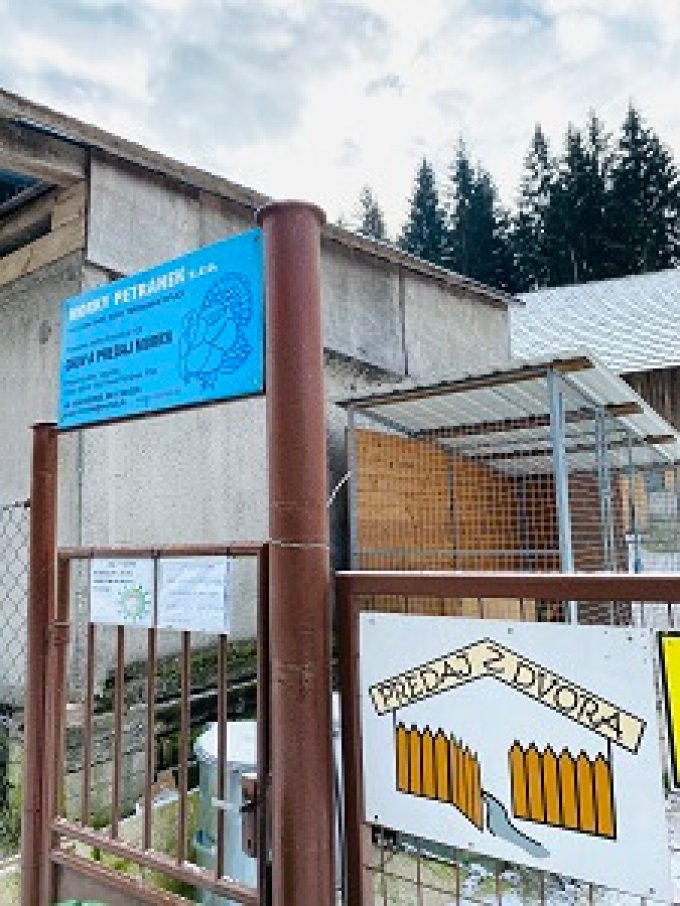 Morčacia farma