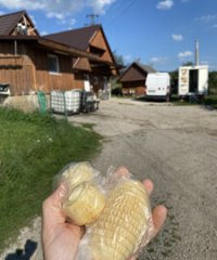 Zlatý vŕšok