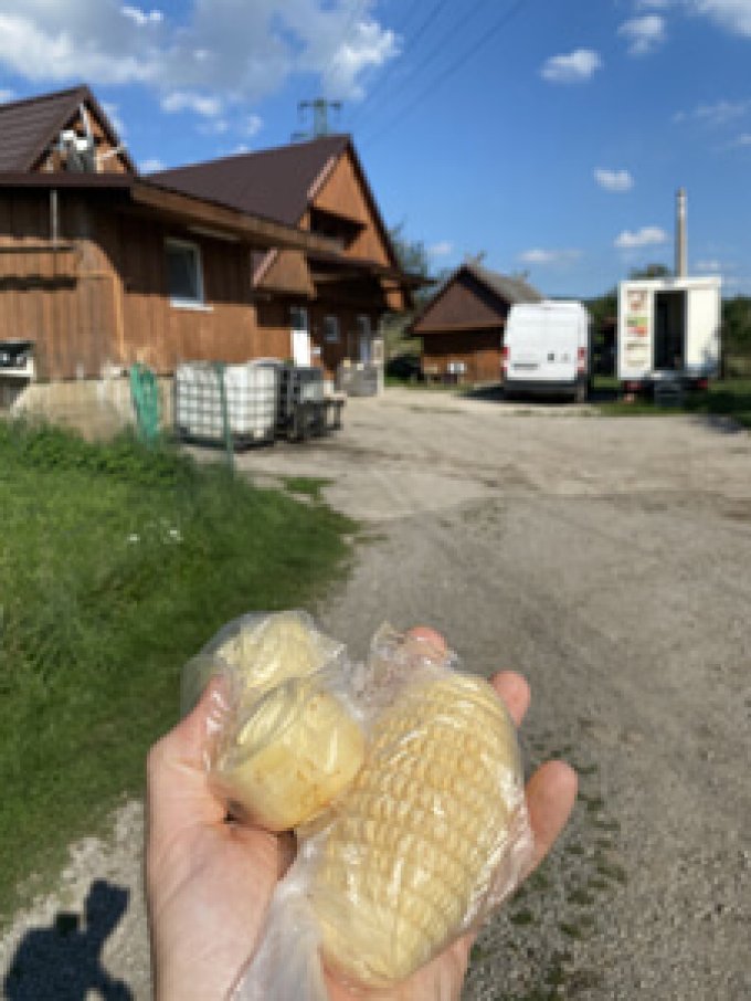 Zlatý vŕšok